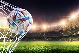 同样的